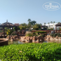 фото из отзыва ID 2246097