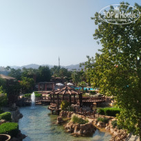 фото из отзыва ID 2246097