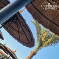 фото из отзыва ID 2245502