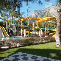 фото из отзыва ID 2246077