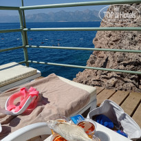 фото из отзыва ID 2245969