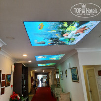 фото из отзыва ID 2246267