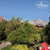 фото из отзыва ID 2246356