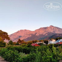 фото из отзыва ID 2246356