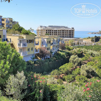 фото из отзыва ID 2246359