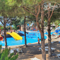 фото из отзыва ID 2246359