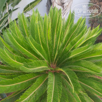 фото из отзыва ID 2246531