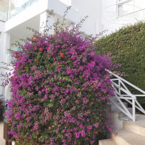 фото из отзыва ID 2246531