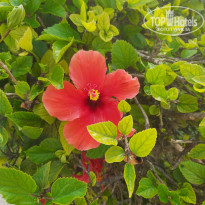 фото из отзыва ID 2246531