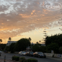 фото из отзыва ID 2246556