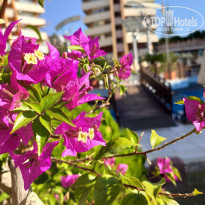 фото из отзыва ID 2246623