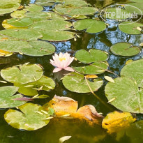 фото из отзыва ID 2246728