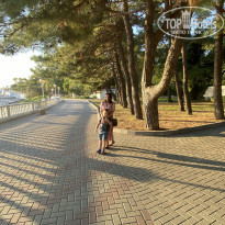 фото из отзыва ID 2246728