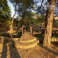 фото из отзыва ID 2246728