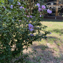 фото из отзыва ID 2246728