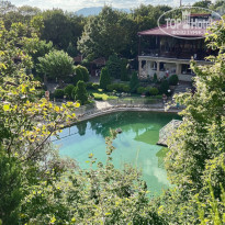 фото из отзыва ID 2246728