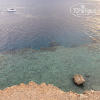 фото из отзыва ID 2246562