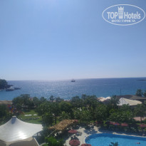 фото из отзыва ID 2246862