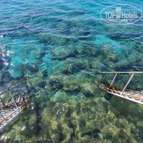 фото из отзыва ID 2246865