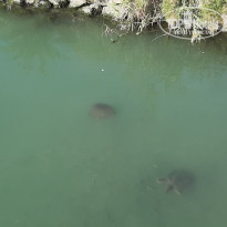 фото из отзыва ID 2246826