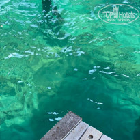 фото из отзыва ID 2246880