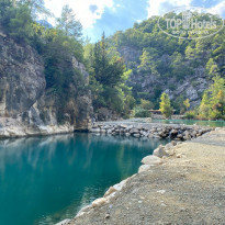 фото из отзыва ID 2246913