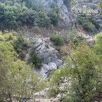 фото из отзыва ID 2246913