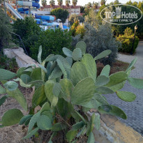 фото из отзыва ID 2246894