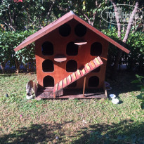 фото из отзыва ID 2246871