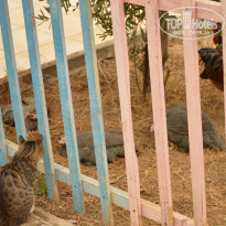 фото из отзыва ID 2246894