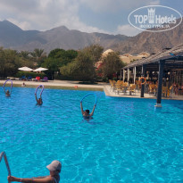 фото из отзыва ID 2246977