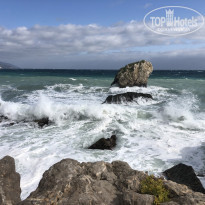 фото из отзыва ID 2246615