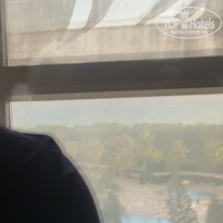 фото из отзыва ID 2247027