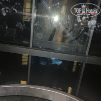 фото из отзыва ID 2247027