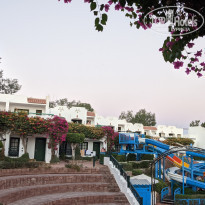 фото из отзыва ID 2247074