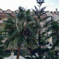 фото из отзыва ID 2247131