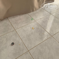 фото из отзыва ID 2247233