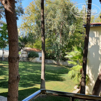 фото из отзыва ID 2246999