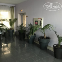 фото из отзыва ID 2247334