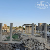 фото из отзыва ID 2247350