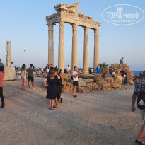 фото из отзыва ID 2247350