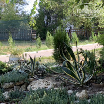 фото из отзыва ID 2247340