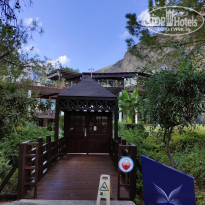 фото из отзыва ID 2247527