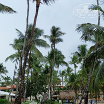 фото из отзыва ID 2247613