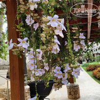 фото из отзыва ID 2247613