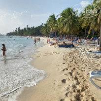 фото из отзыва ID 2247613