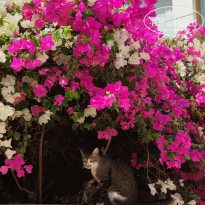 фото из отзыва ID 2247733