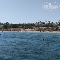 фото из отзыва ID 2247733