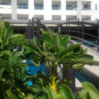 фото из отзыва ID 2247759