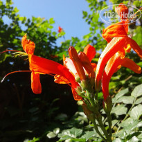 фото из отзыва ID 2247759